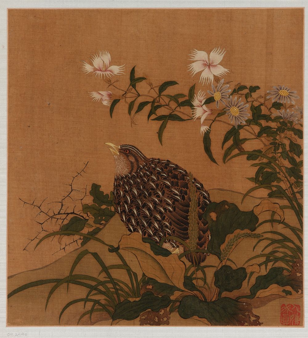 Quail and flowers, formerly attributed to Zhao Boju