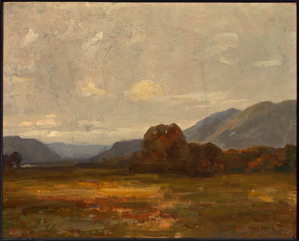 Landscape by Max Weyl