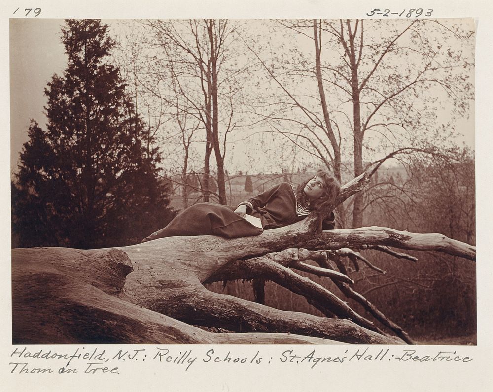Beatrice Thom on Tree, Haddonfield, New Jersey