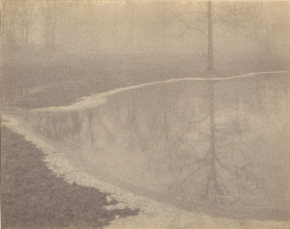 Pond in the Fog