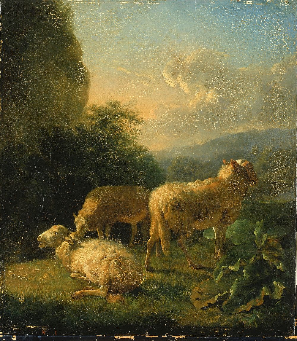 Sheep by Balthasar Paul Ommeganck
