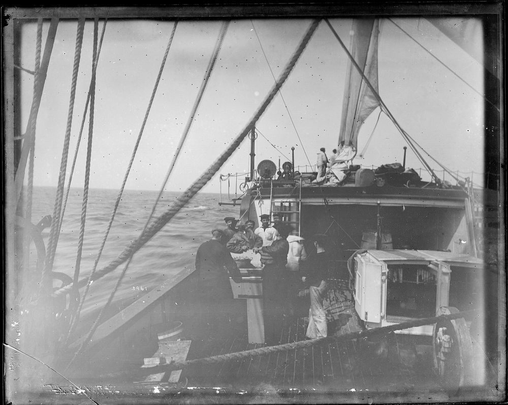 USFC Steamer "Albatross" Survey of Fishing Banks from Newport to Newfoundland, 1885