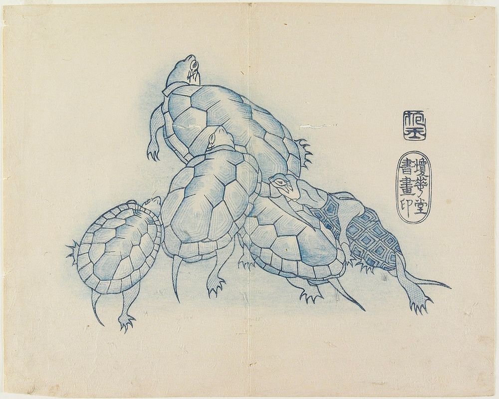 Turtles (1830s) print in high resolution by Yamada Hogyoku. Original from The Minneapolis Institute of Art. Original from…