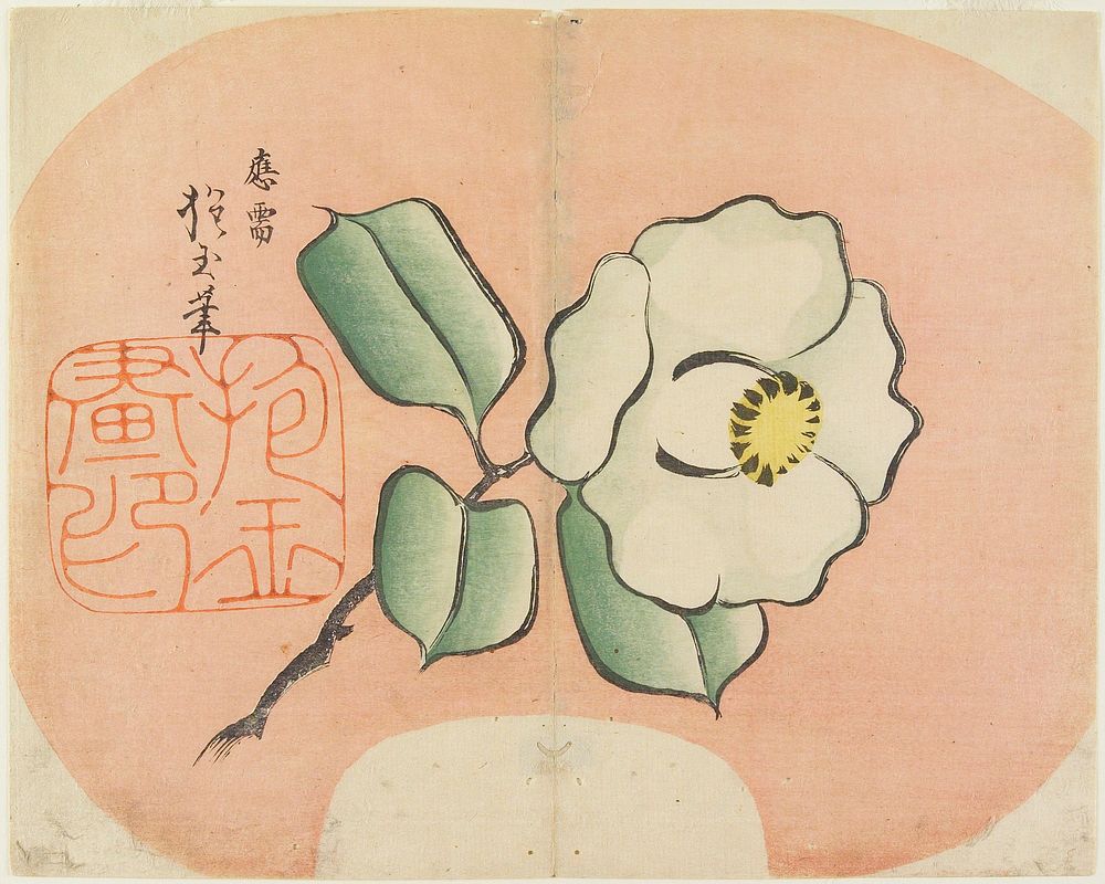 White Camellia (1830s) print in high resolution by Yamada Hogyoku. Original from The Minneapolis Institute of Art.