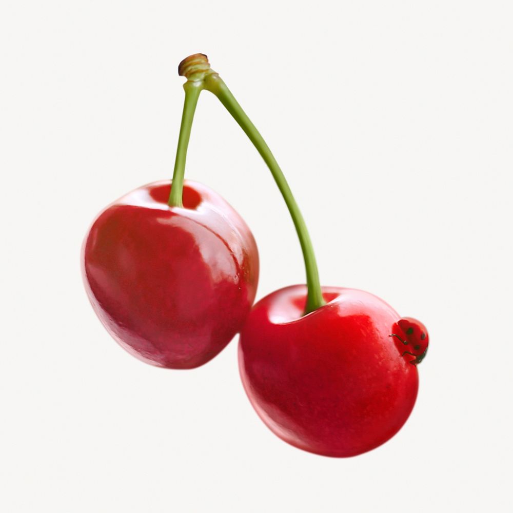 Wild cherry collage element psd