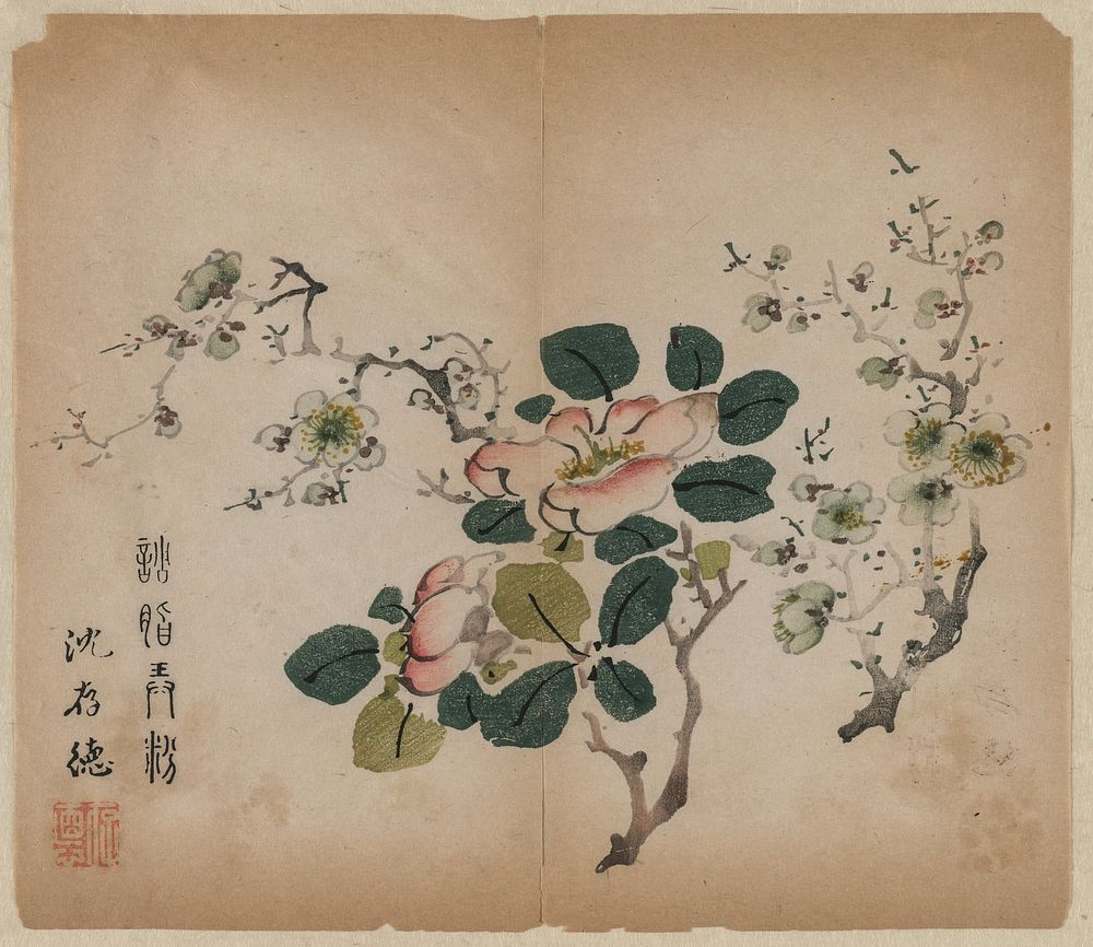Flowering Prunus. Original from The Cleveland Museum of Art.