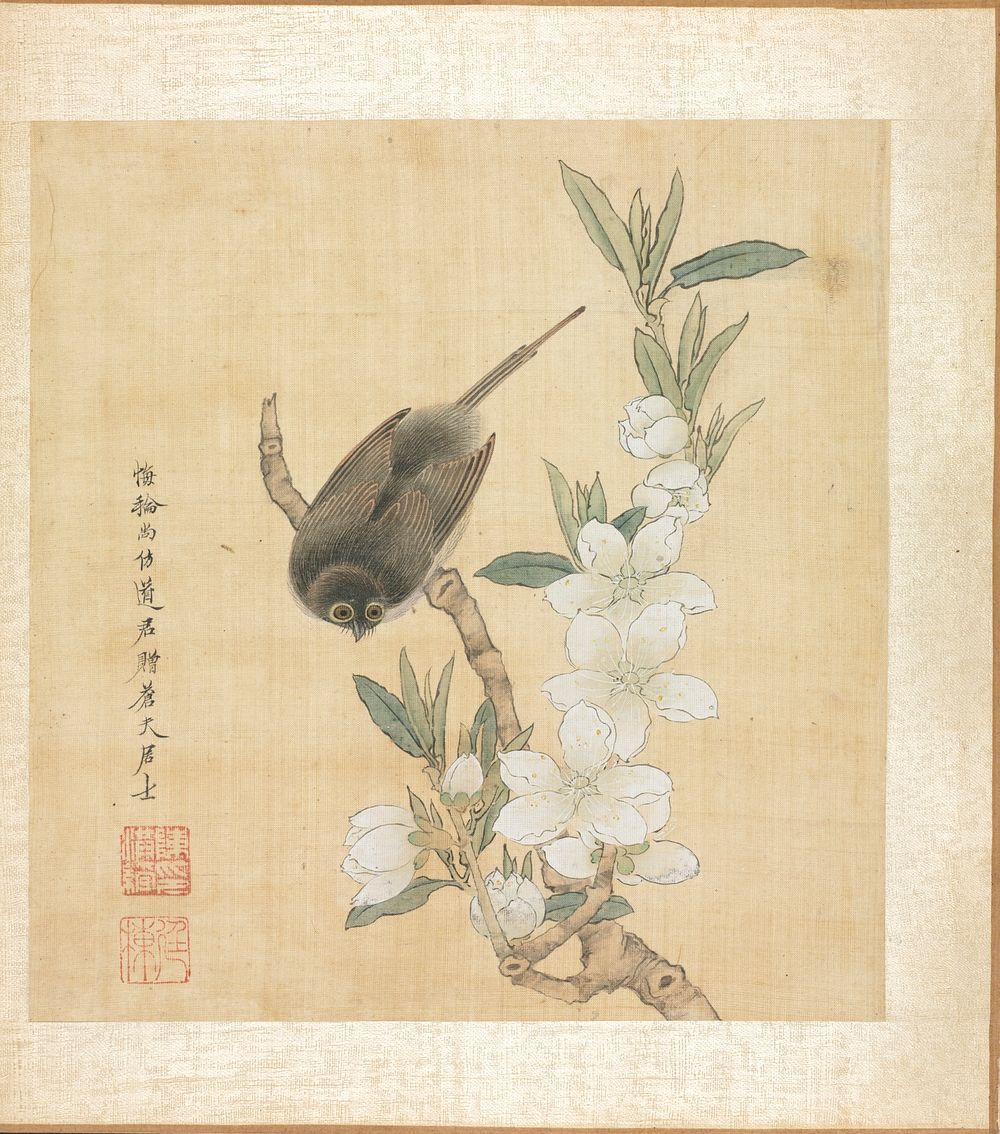 Paintings after Ancient Masters: A Bird and Peach-Blossom Branch. Original from The Cleveland Museum of Art.