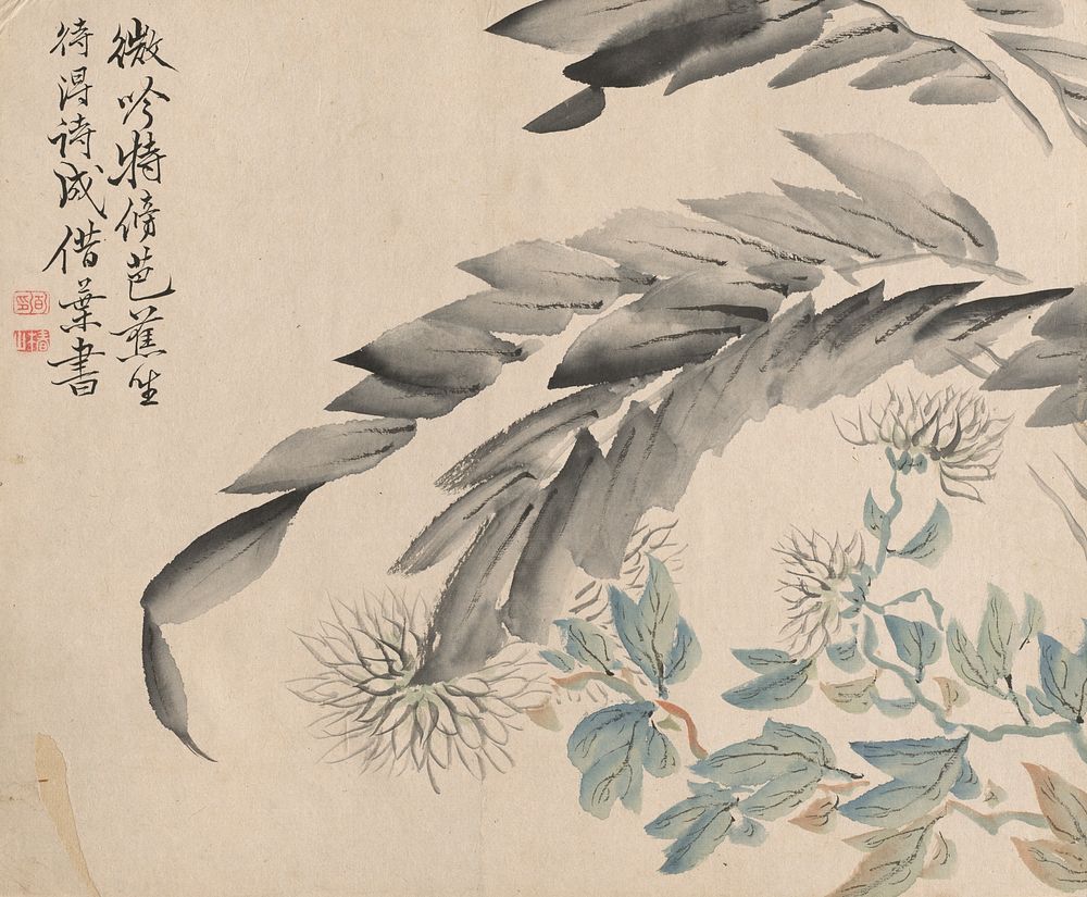 Banana Plant and Chrysanthemum. Original from The Cleveland Museum of Art.