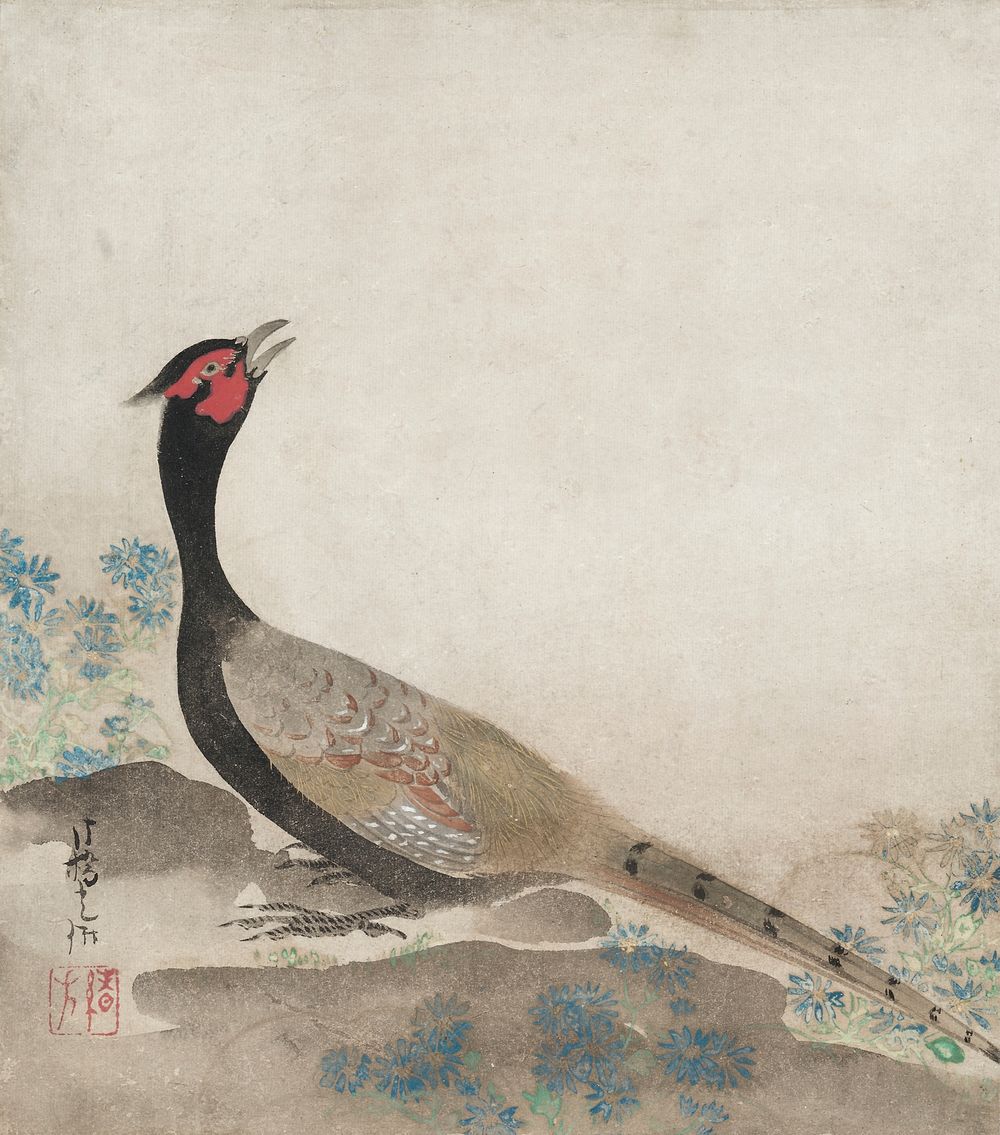 Pheasant (1658-1716) by Ogata Korin. Original from The Cleveland Museum of Art.