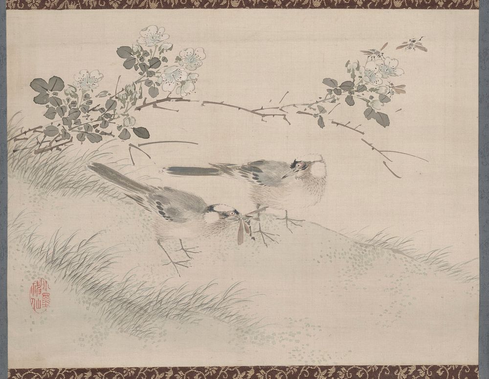 Studies from Nature: Plants, Fish, and Birds (Birds and Roses) during first half 19th century painting in high resolution by…