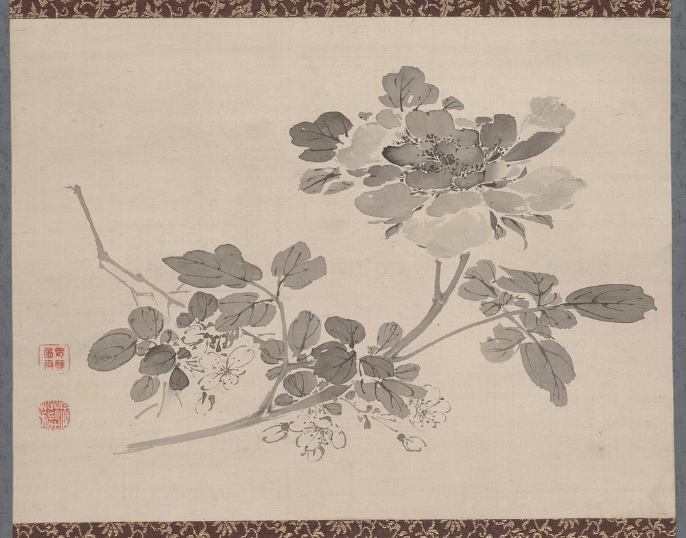 Studies from Nature: Plants, Fish, and Birds (Peony) during first half 19th century painting in high resolution by Urakami…