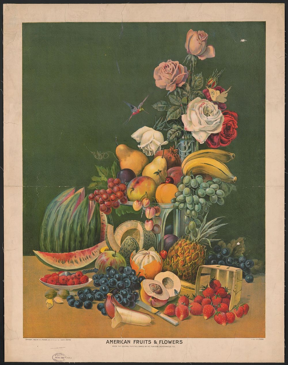 American fruits & flowers (1899). Original from the Library of Congress.