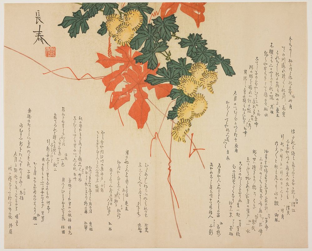 Asters and Red Leaves (1810s) print in high resolution by Nakamura Nagaharu.  Original from The Minneapolis Institute of Art.