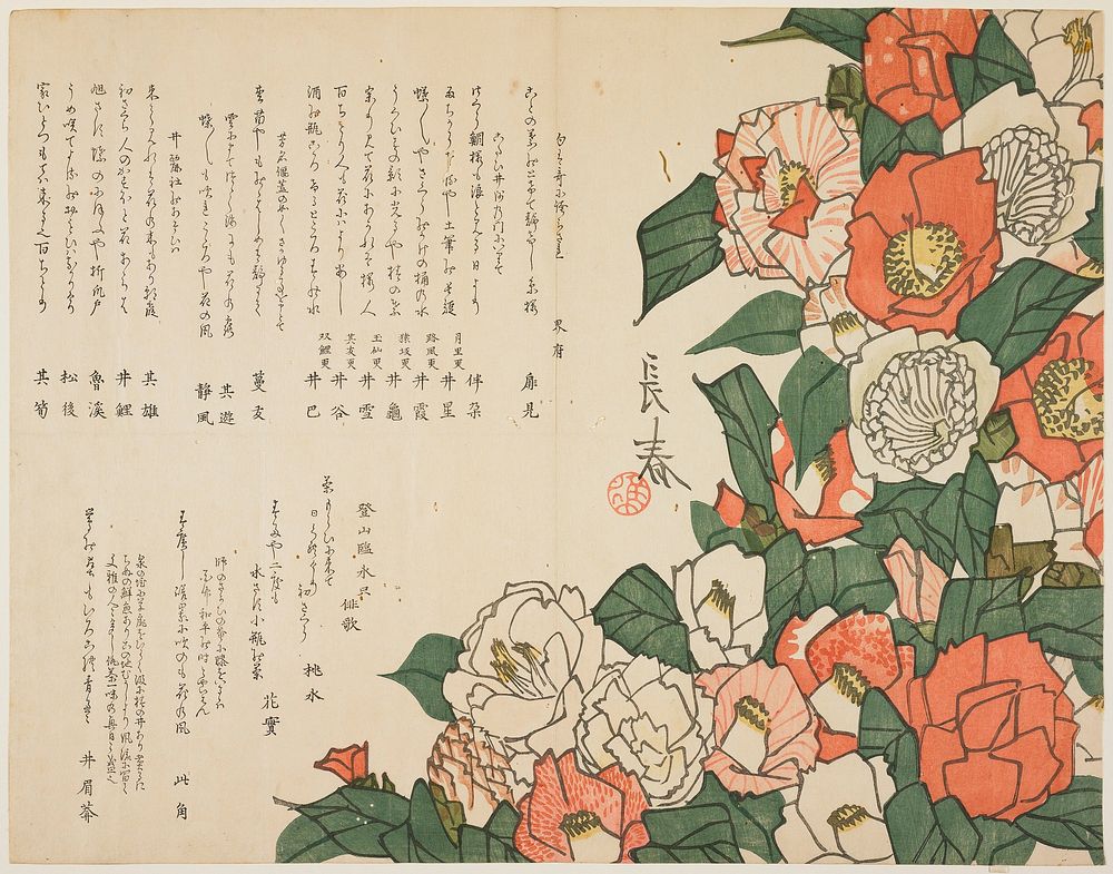 Camellia Flowers (ca. 1820) print in high resolution by Nakamura Nagaharu.  Original from the Minneapolis Institute of Art.