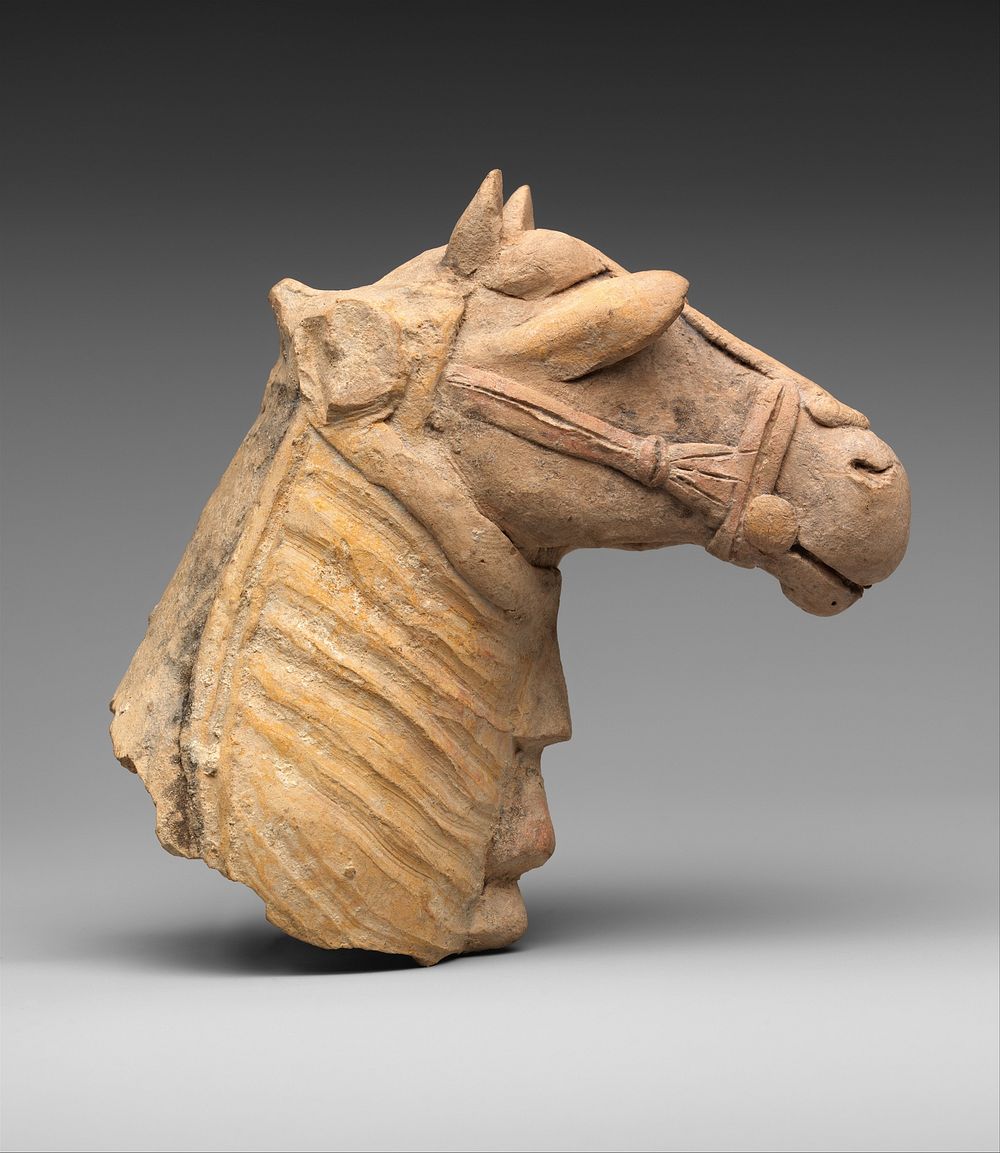 Horse's head with harness