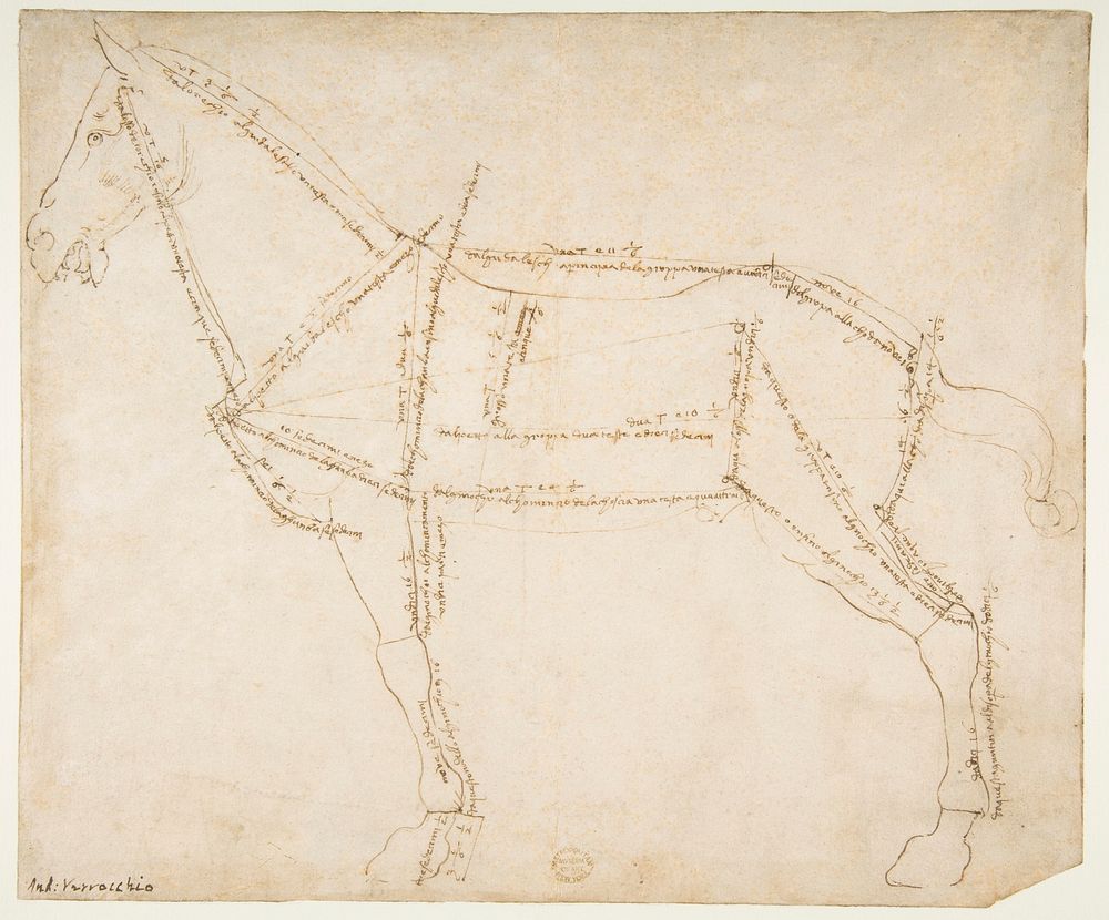 Measured Drawing of a Horse Facing Left (recto)