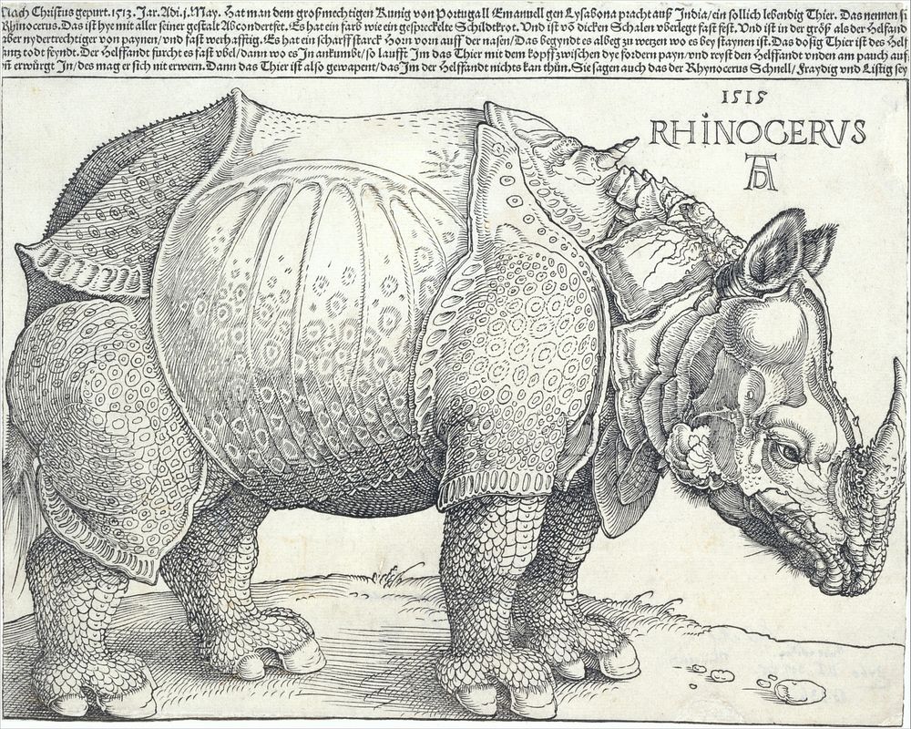 The Rhinoceros