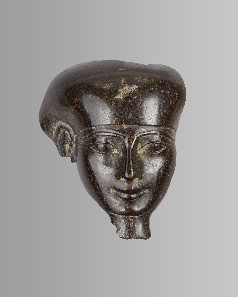 Head with tripartite wig, probably from a shabti