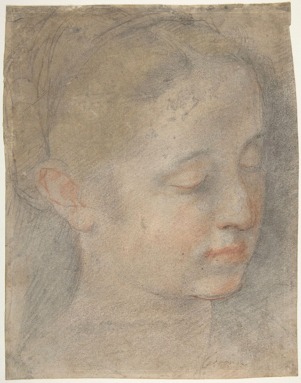 Head of a Young Woman Looking to Lower Right by Federico Barocci