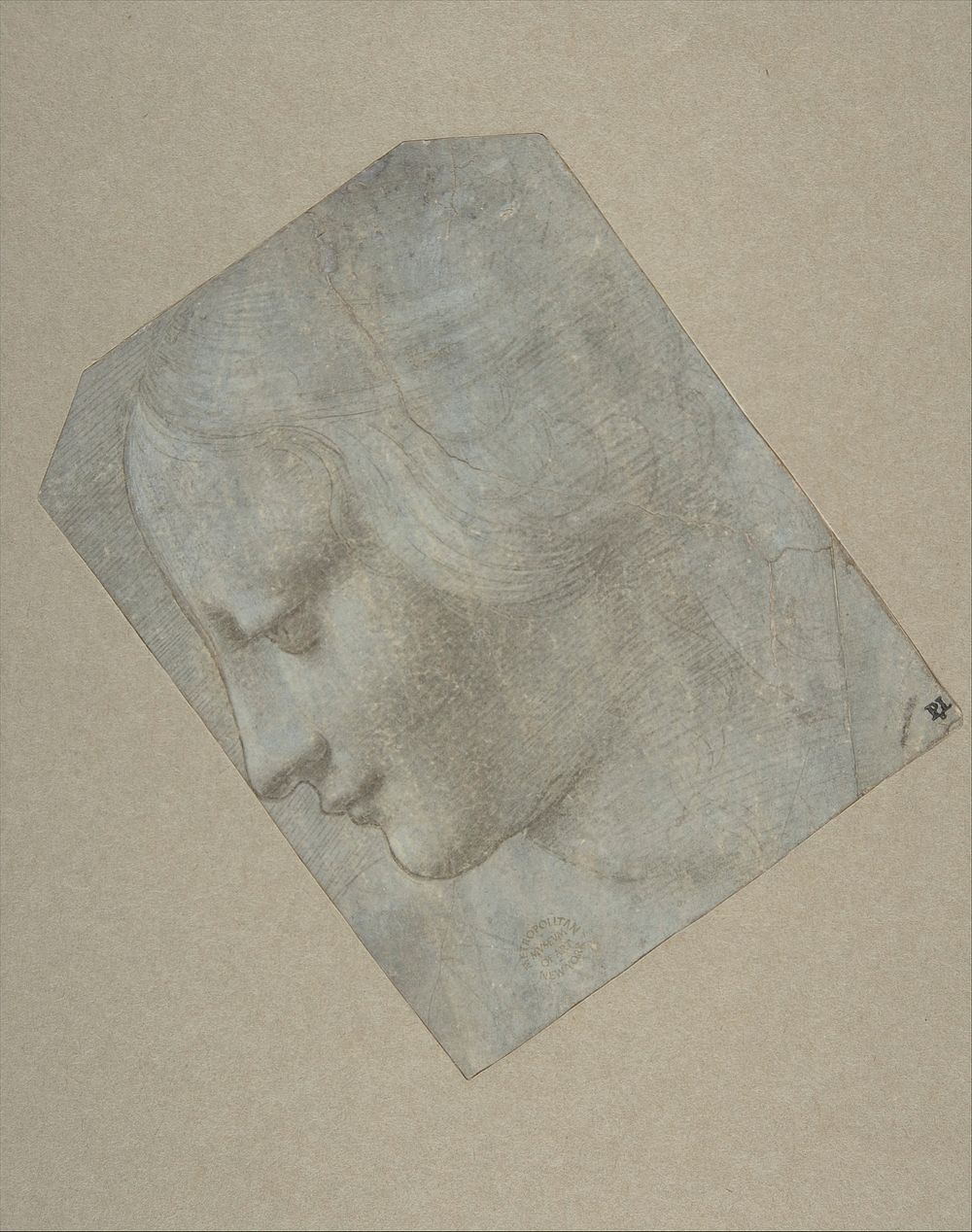 The Head of a Woman in Profile Facing Left, Giovanni Antonio Boltraffio