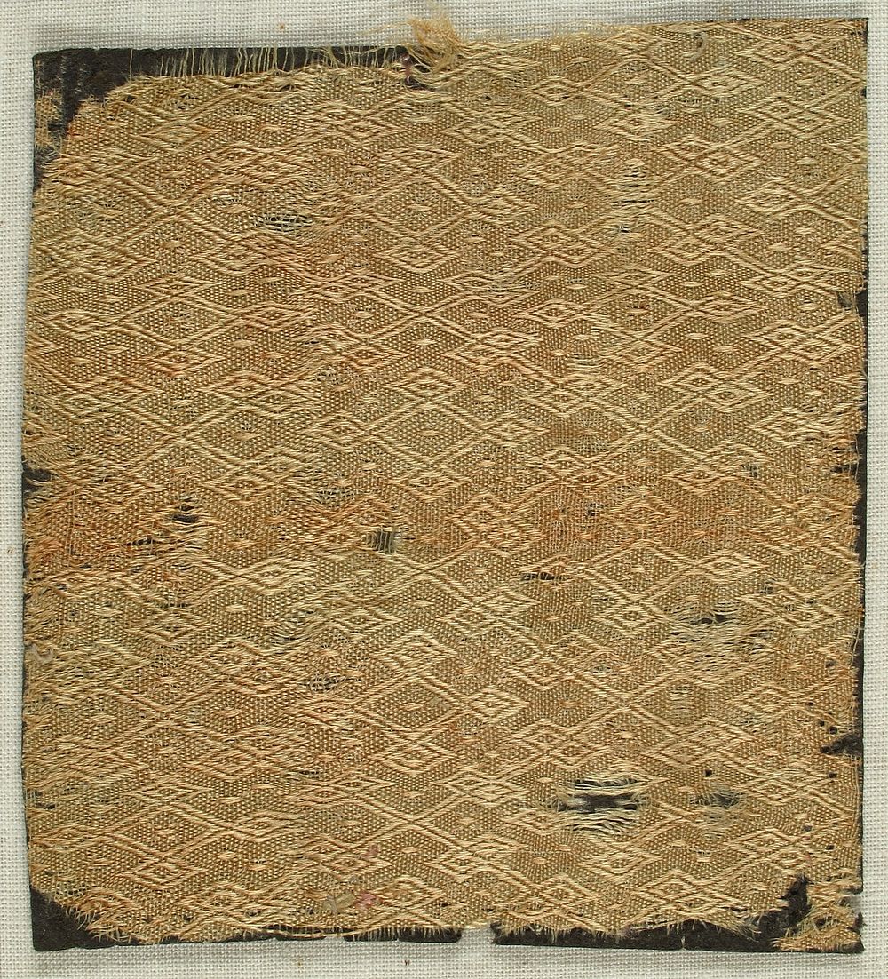 Textile with Figured Silk Weave