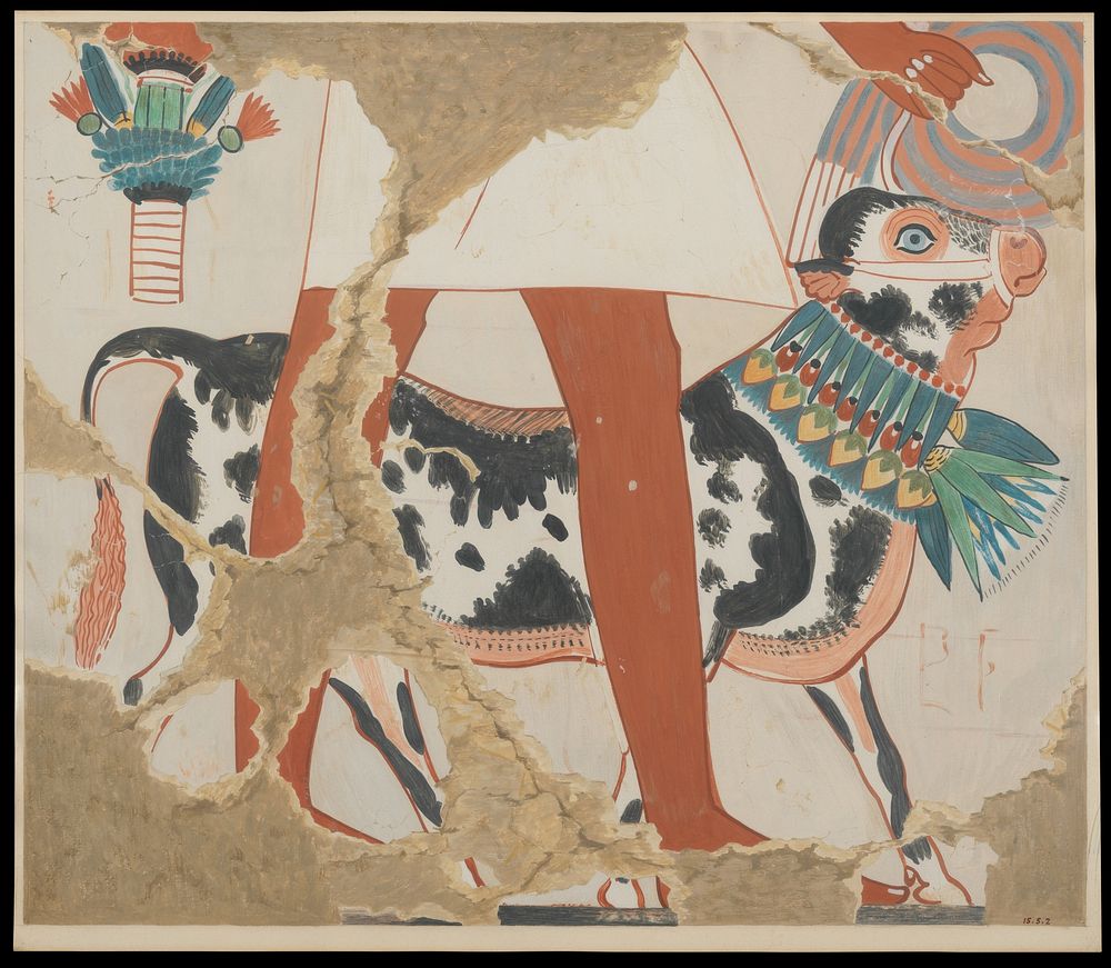 Detail of a Bull from a Procession of Offering Bearers by Nina de Garis Davies