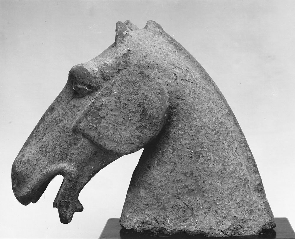 Model of  Horse's Head