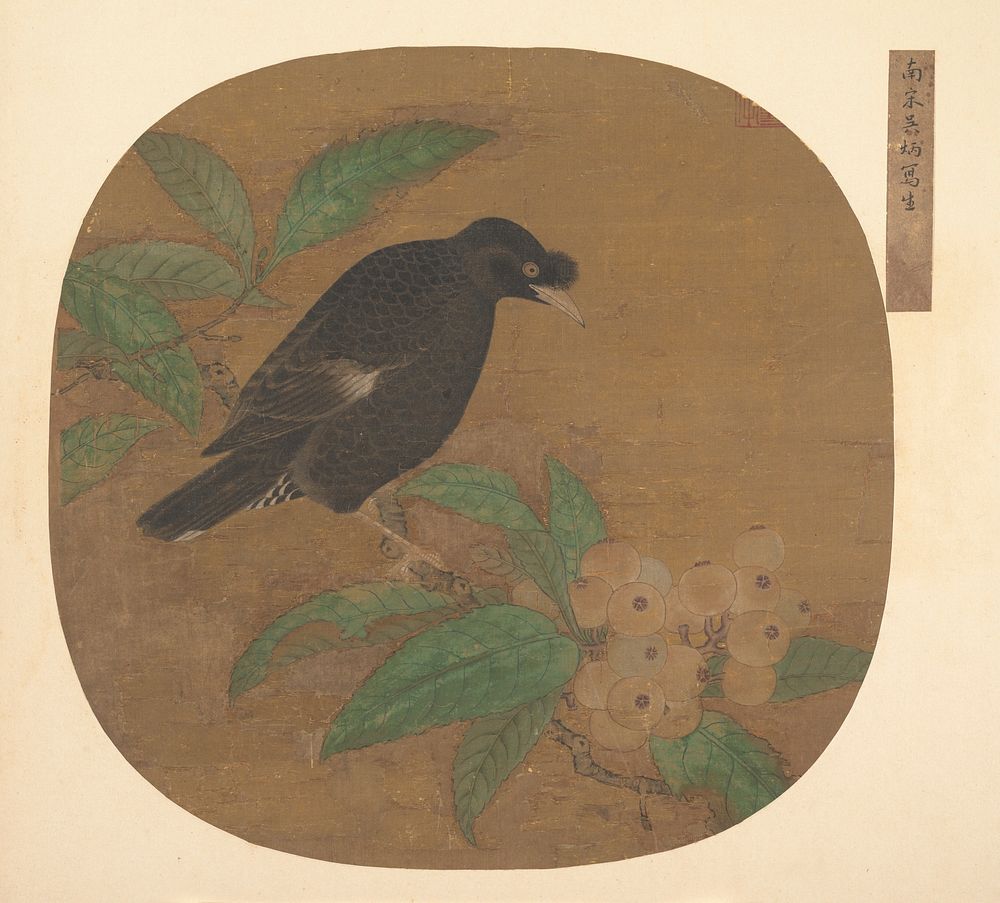 Minah Bird on a Loquat Branch by Unidentified artist