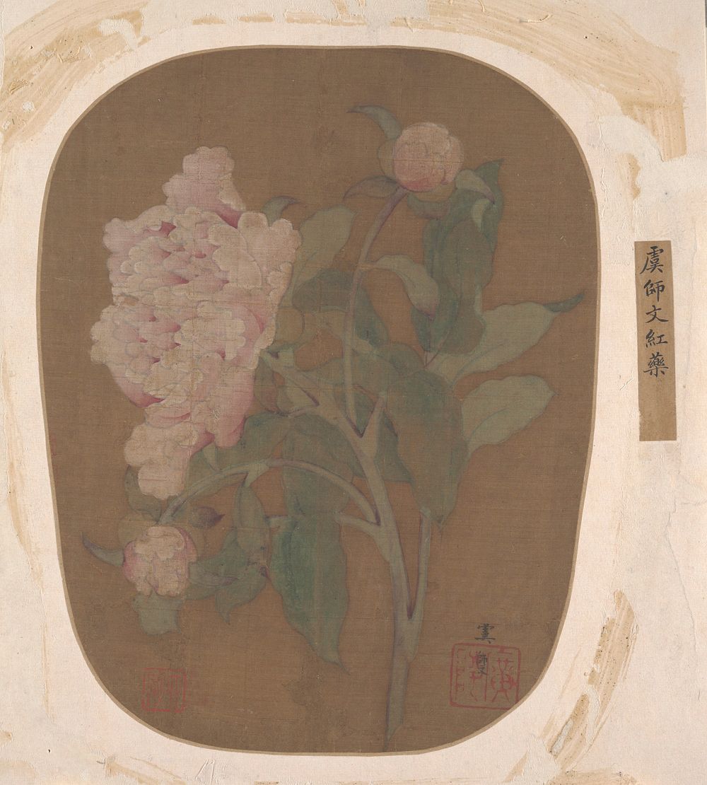 Peony Flower and Leaves by Unidentified artist