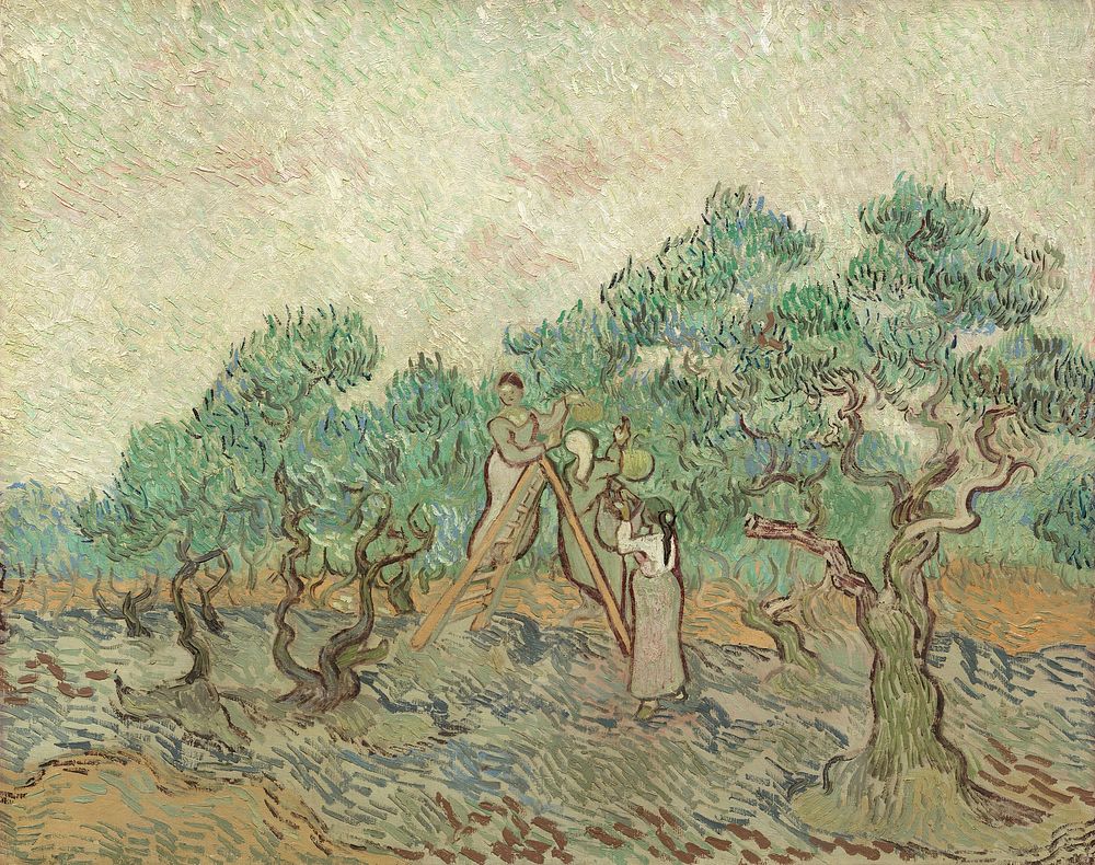 Vincent van Gogh's The Olive Orchard (1889) 