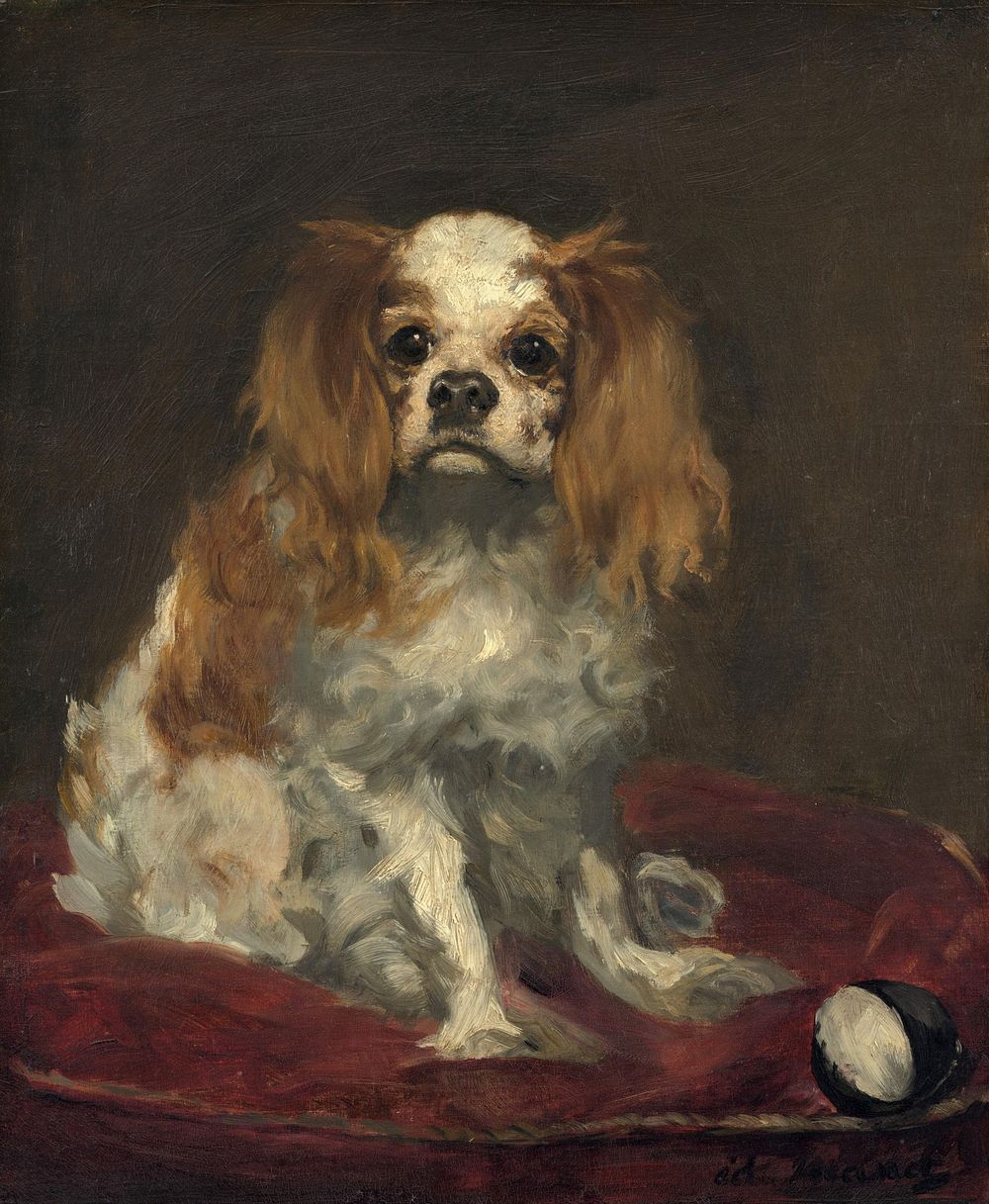 A King Charles Spaniel (c. 1866) painting in high resolution by Edouard Manet.  