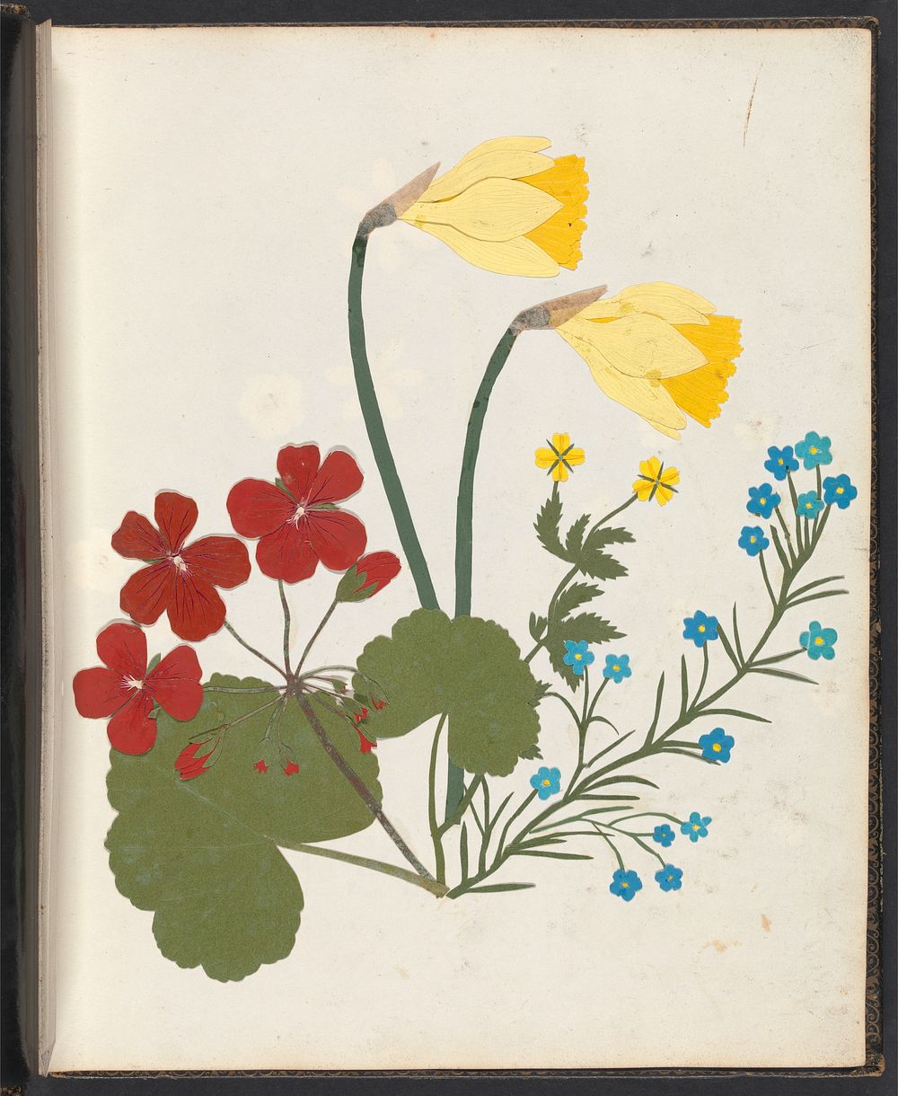 Album of cut–paper flowers (ca.1835) design in high resolution by W., Ellen.  