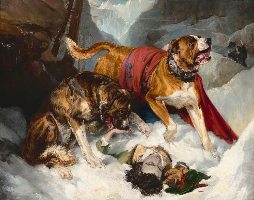 Alpine Mastiffs Reanimating a Distressed Traveler (1820) by Sir Edwin Landseer.  