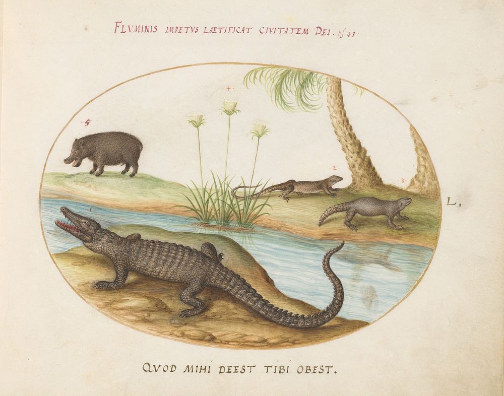 Plate L: Animalia Qvadrvpedia et Reptilia (c. 1575-1580) painting in high resolution by Joris Hoefnagel.  