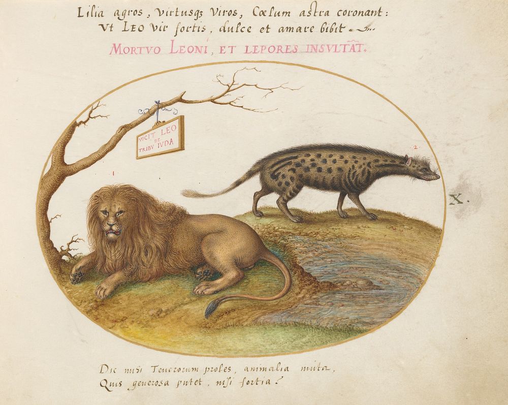 Plate X: Animalia Qvadrvpedia et Reptilia (c. 1575-1580) painting in high resolution by Joris Hoefnagel.  