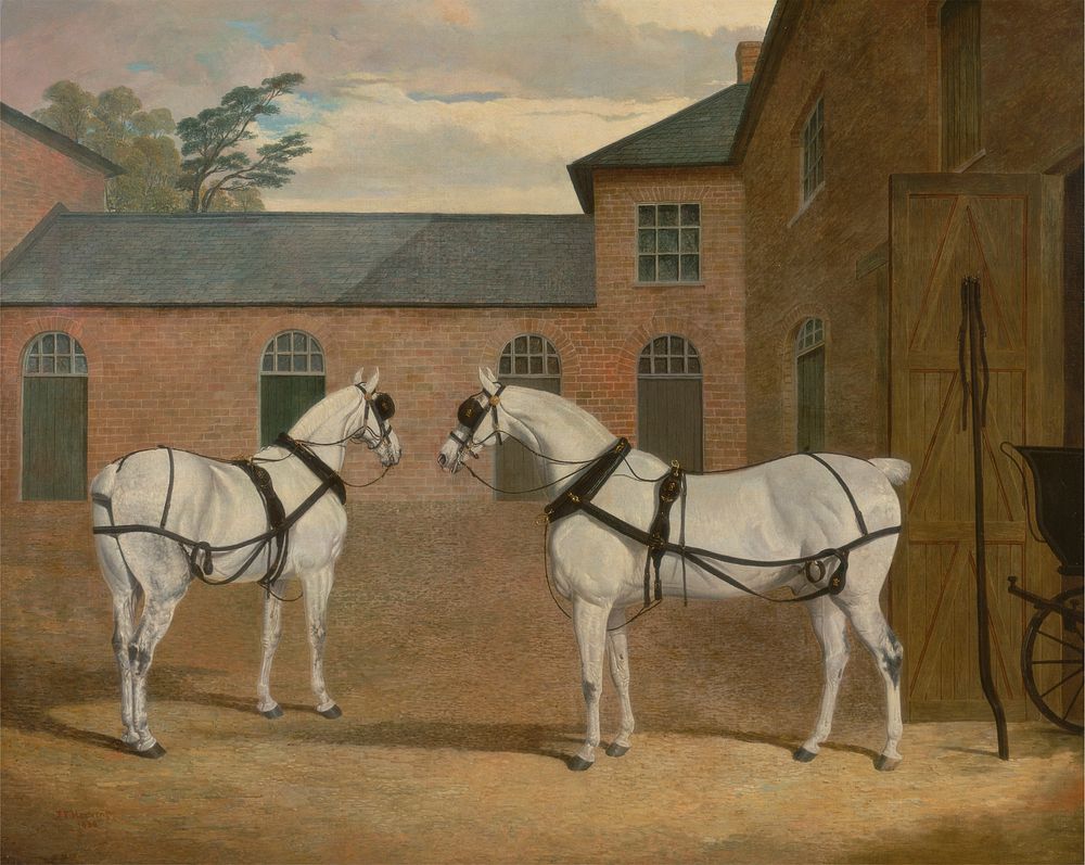 Grey carriage horses in the coachyard at Putteridge Bury, Hertfordshire (1838) painting in high resolution by  John…