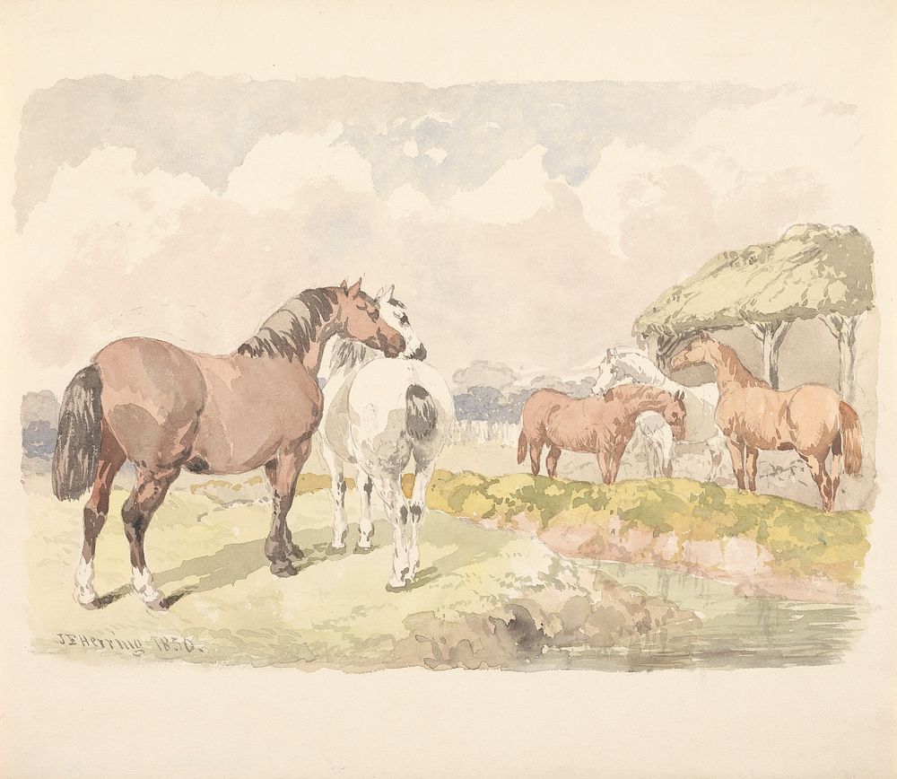 Five Horses near a Brook (1850) painting in high resolution by John Frederick Herring.  