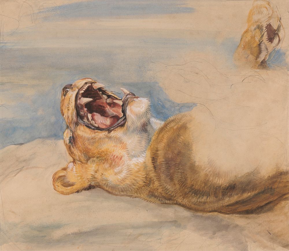 Study of a Lioness (ca. 1824) painting in high resolution by John Frederick Lewis.  