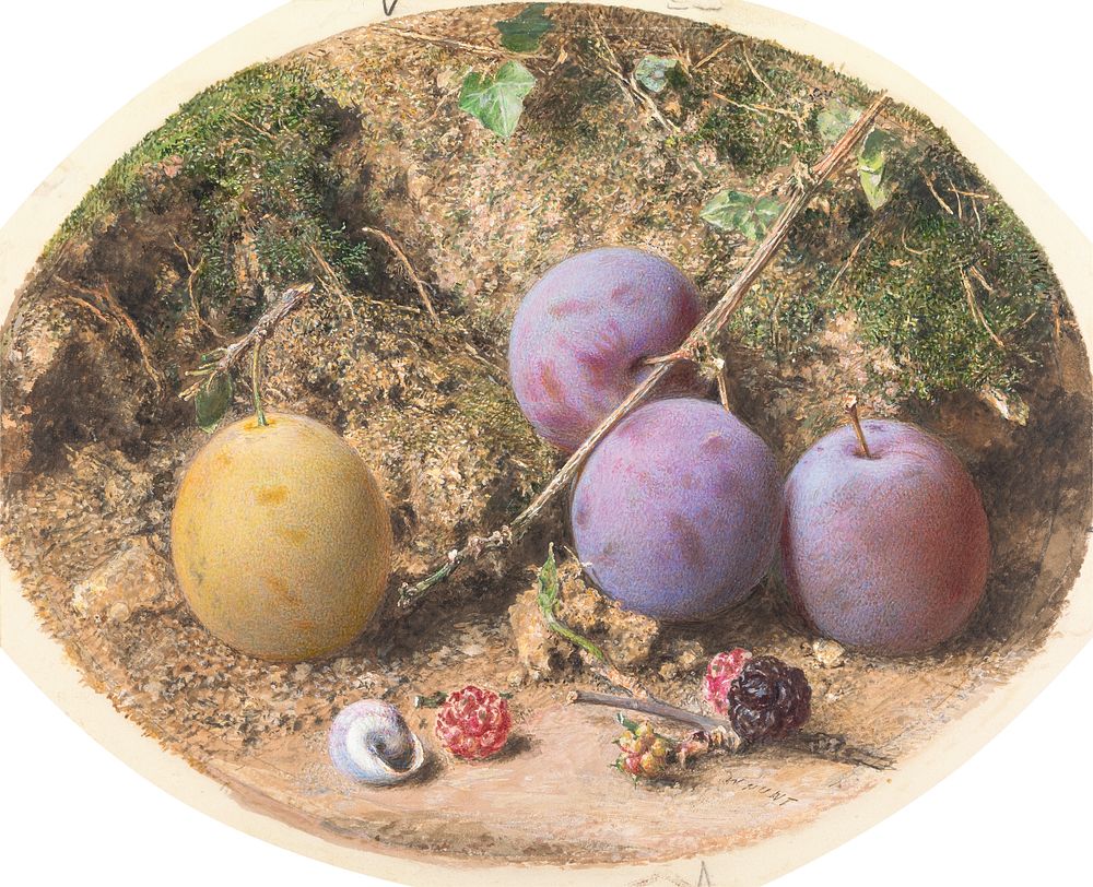 Plums and Mulberries (ca. 1860) painting in high resolution by William Henry Hunt.  