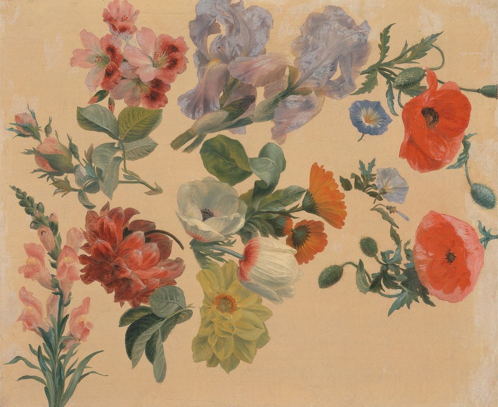 Studies of Summer Flowers (ca. 1848) painting in high resolution by Jacques&ndash;Laurent Agasse.  