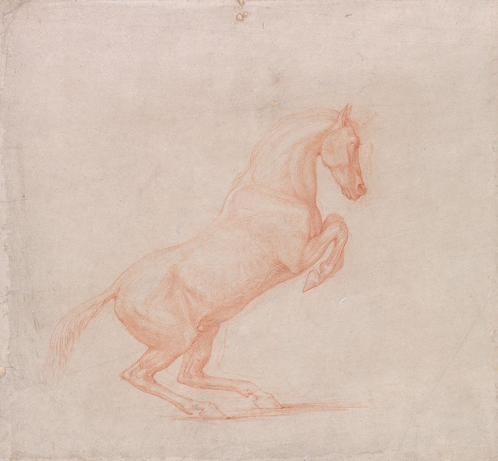 A Prancing Horse, Facing Right (ca. 1790) drawing in high resolution by George Stubbs.  