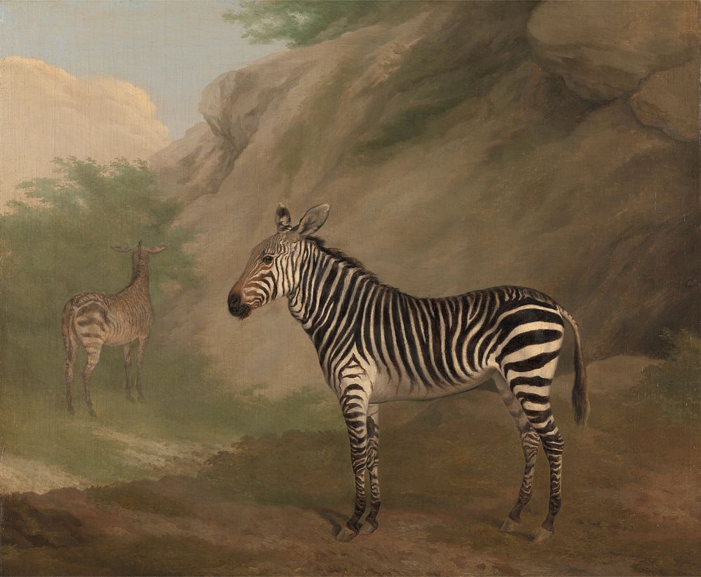 Zebra (1803) painting in high resolution by Jacques&ndash;Laurent Agasse.  