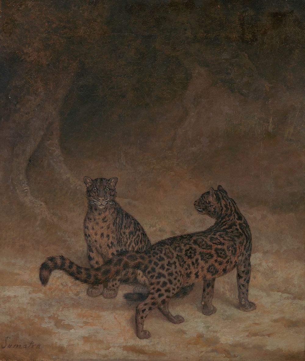 Clouded Leopards (ca. 1825) painting in high resolution by Jacques&ndash;Laurent Agasse.  