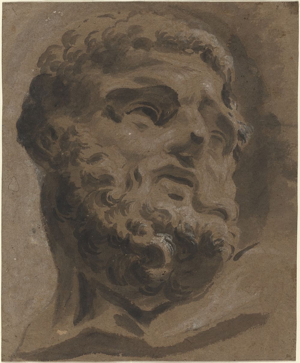 Bearded Head drawing in high resolution by Giovanni Battista Cipriani (1727–1785).  