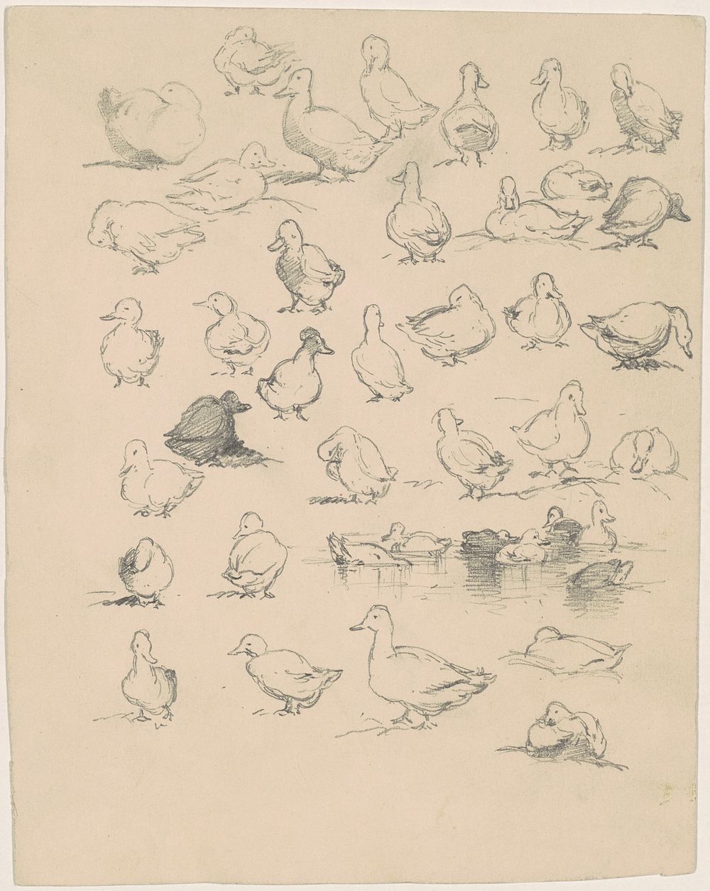 Ducks (1870s-1880s) by Andrew Fisher Bunner.