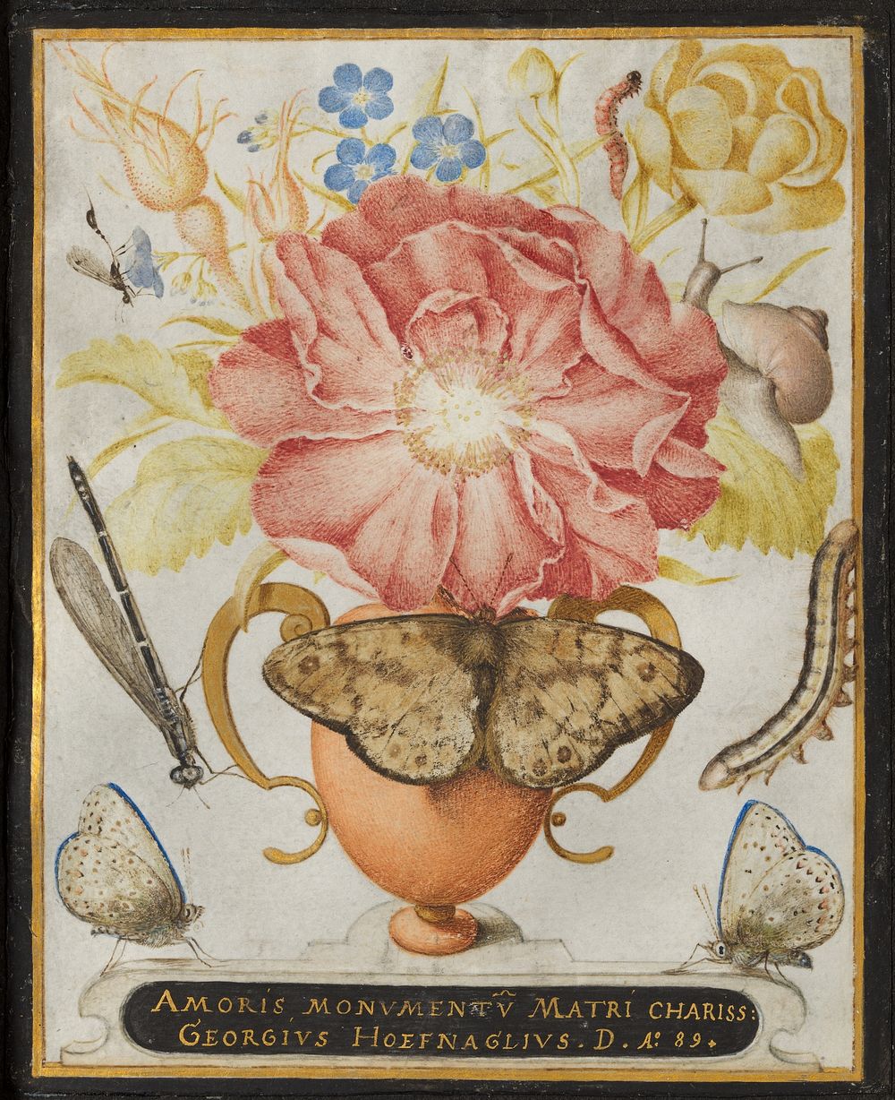 Still Life with Flowers, a Snail and Insects (1589) painting in high resolution by Joris Hoefnagel.  