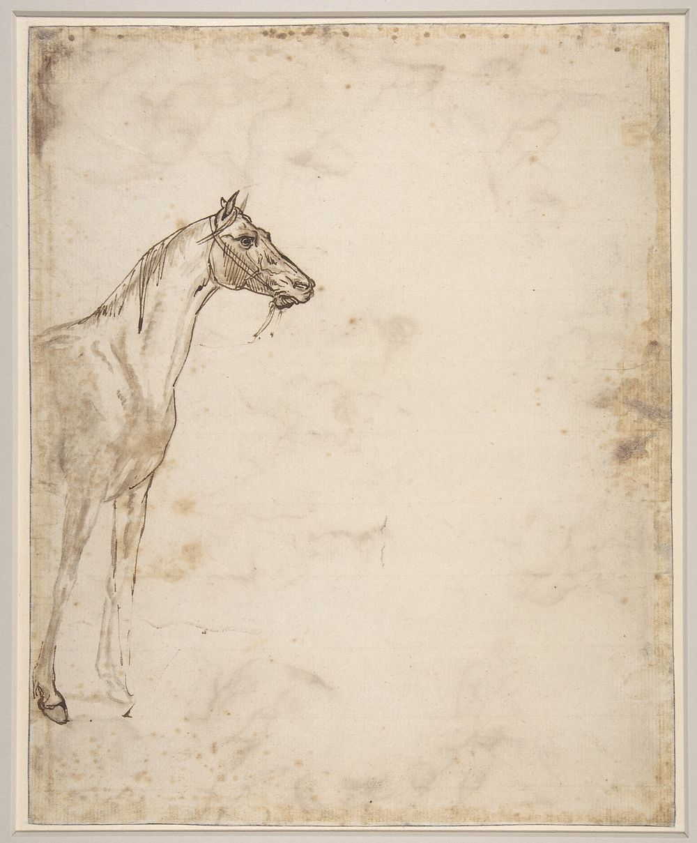 Study of a Horse (ca. 1817&ndash;1818) drawing in high resolution by Th&eacute;odore Gericault.  