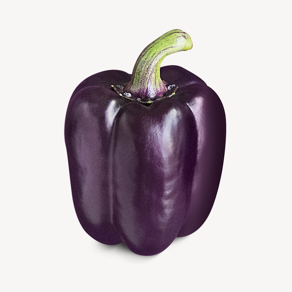Purple bell pepper collage element psd