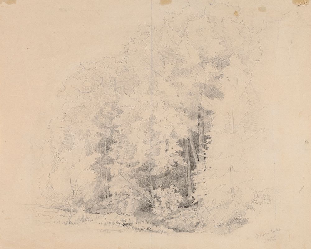 Metsänsisusta, 1856
