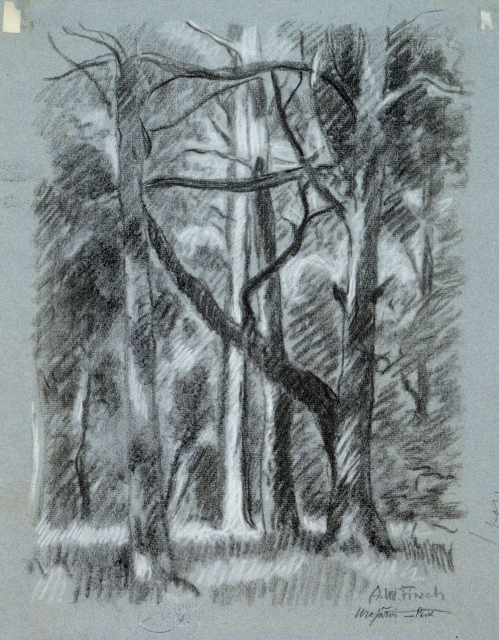 Forest landscape from urajärvi, 1923 by Alfred William Finch